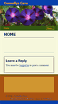 Mobile Screenshot of connollyscave.net